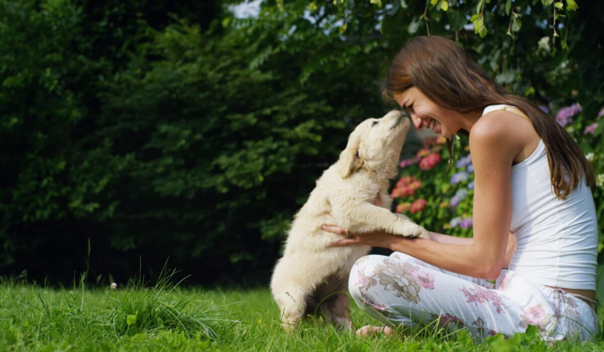 Woman sitting down in grass playing with labrador retriever