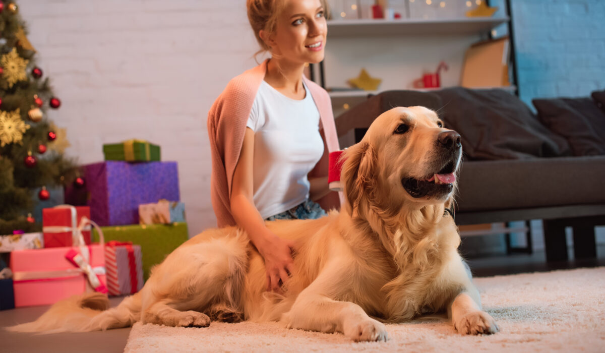 Things to consider and prepare to becoming a Dog Owner