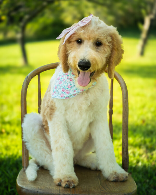 Minnie Mae