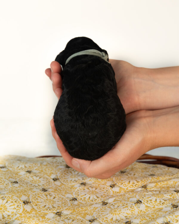 Bumble - Image 5