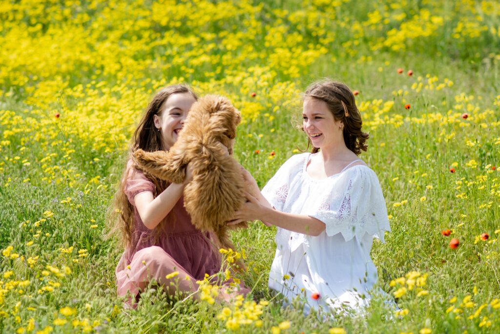 two girls sit outside in a green field playing with a goldendoodle.
