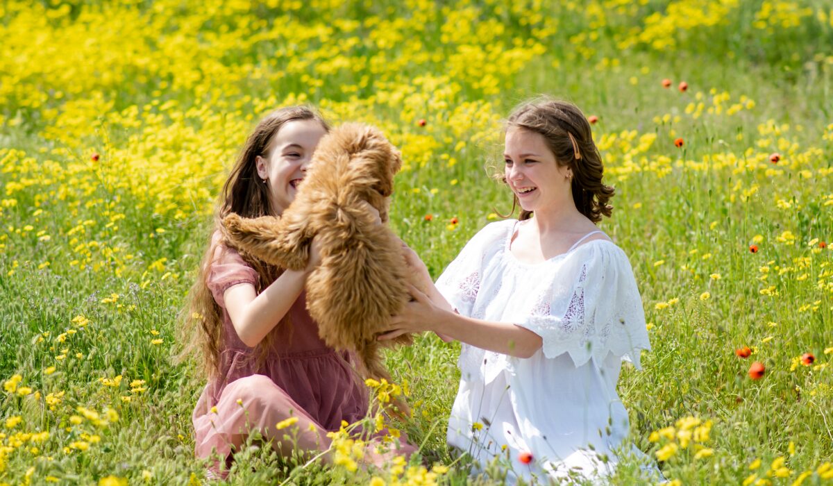 two girls sit outside in a green field playing with a goldendoodle.