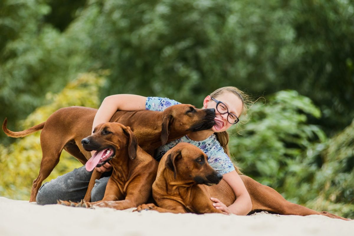 Ask Breeders When Buying a Puppy