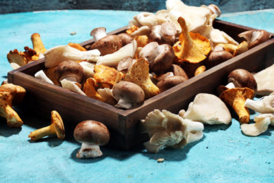 Human foods dogs can't eat